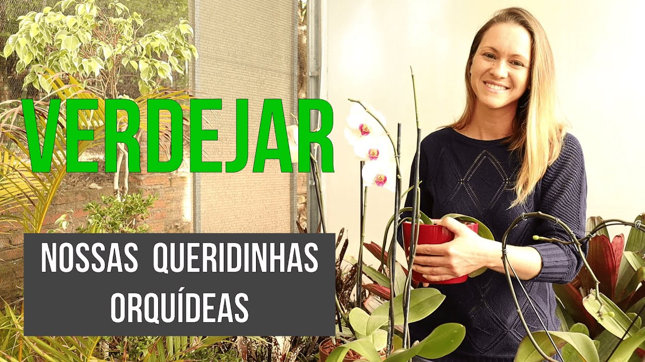 VERDEJAR, NOSSAS QUERIDINHAS ORQUÍDEAS