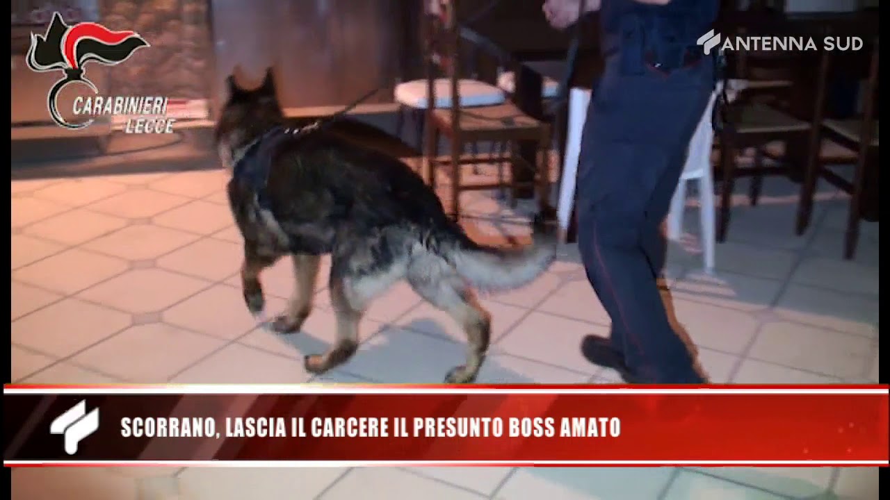16 maggio 2020 - Scorrano, lascia il carcere il presunto boss Amato