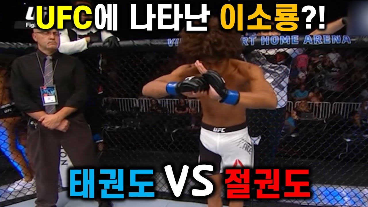태권도 vs 절권도(UFC에 이소룡이 나타났다?)