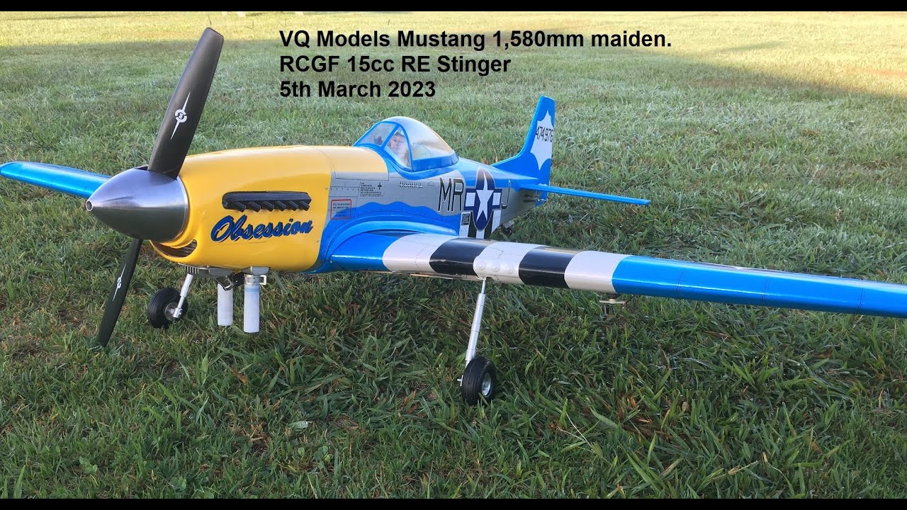 VQ Models P51-D Mustang 