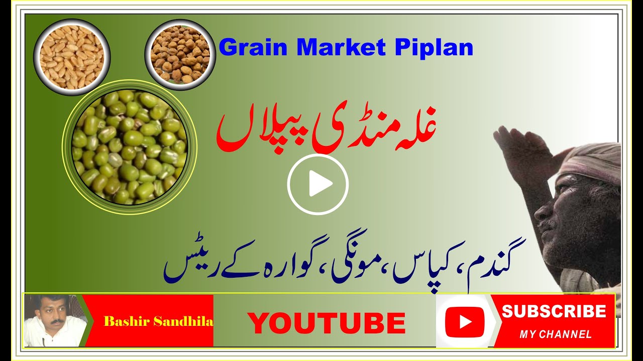 Ghala Mandi Piplan ll Bashir Sandhila