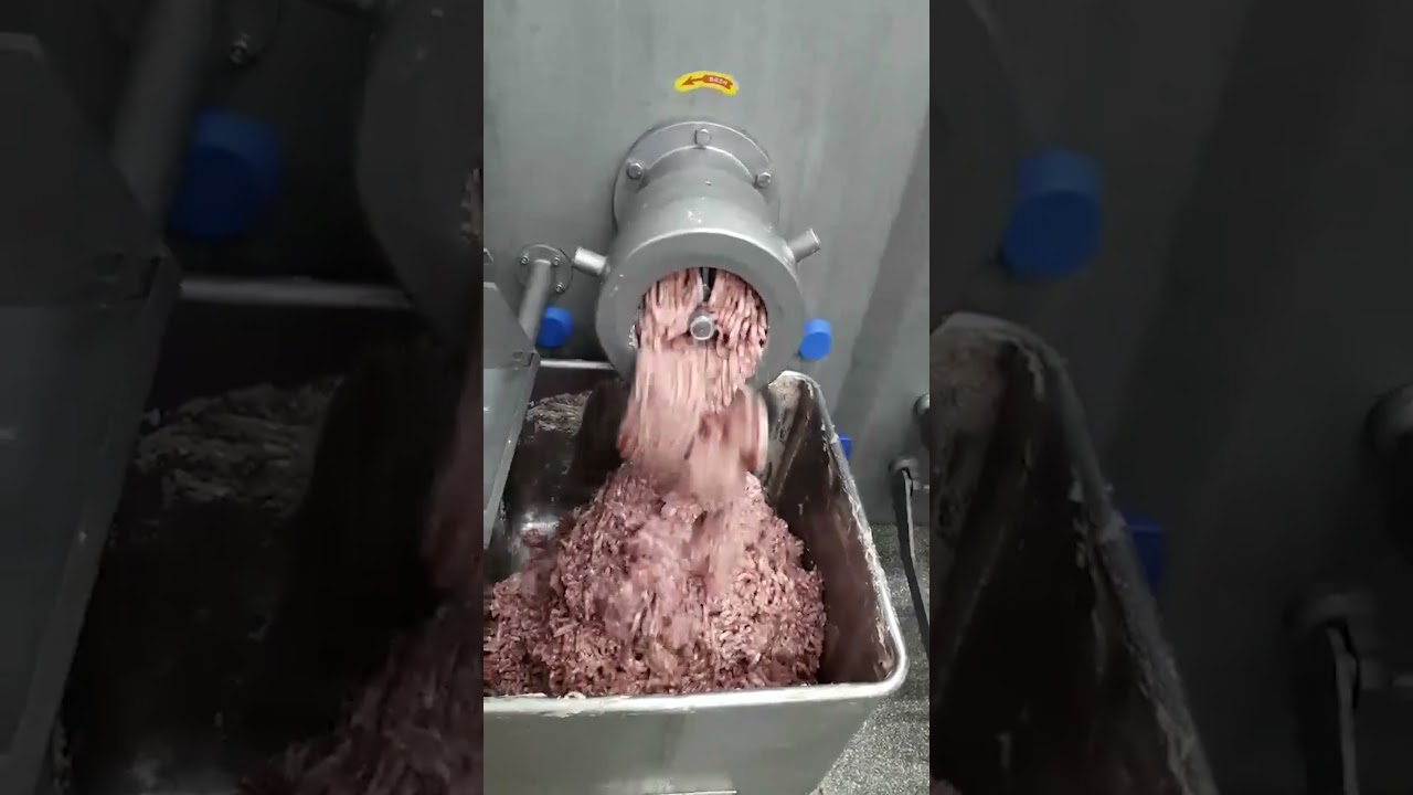 Sind 200mm Industrial Grinder | Profesionalna mašina za mlevenje mesa do 4000 kg/h