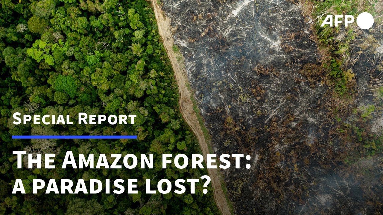 The Amazon: a paradise lost? | AFP