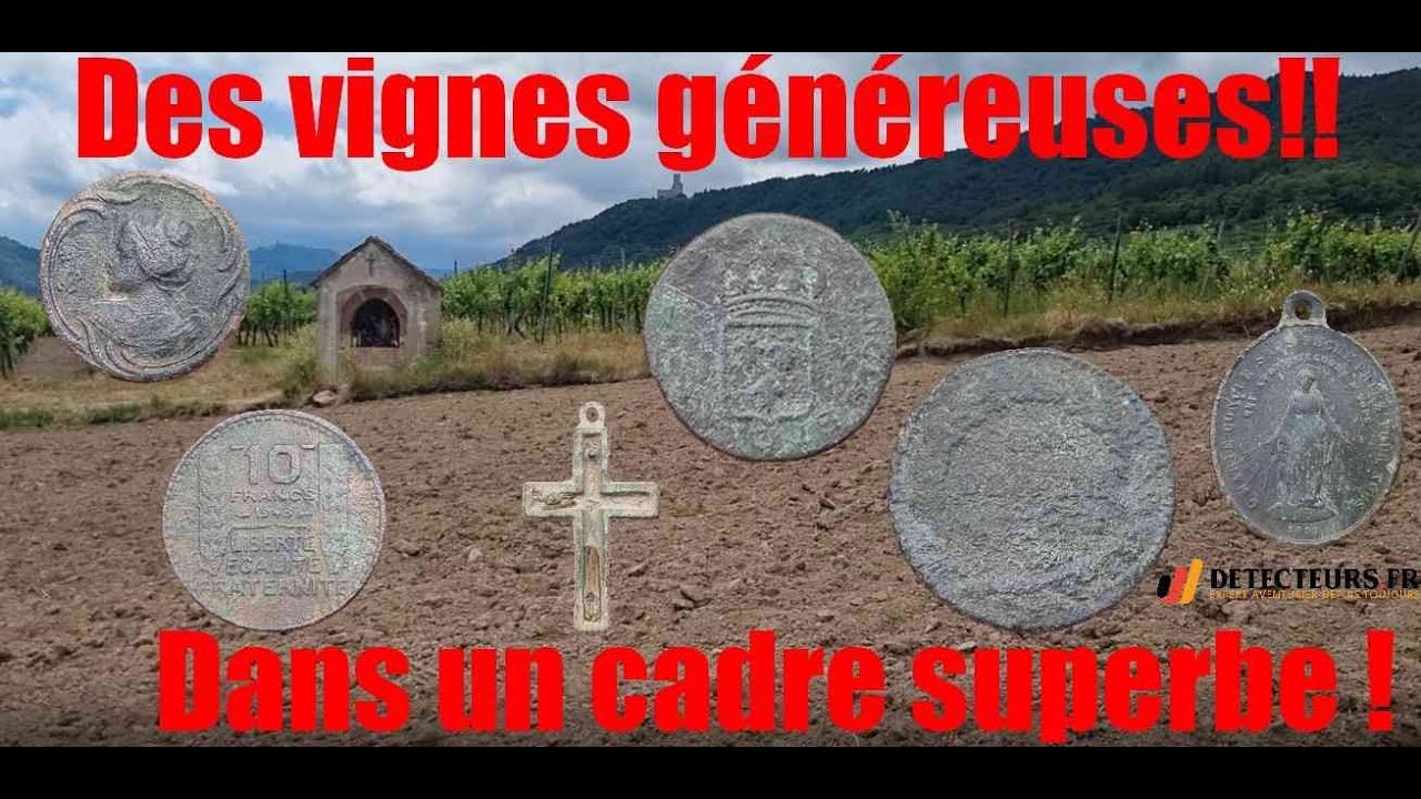 Détection de métaux 2022 : des vignes généreuses dans un cadre magnifique!
