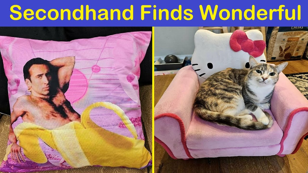 Secondhand Finds That Are As Strange As They Are Wonderful | Happy And Fun
