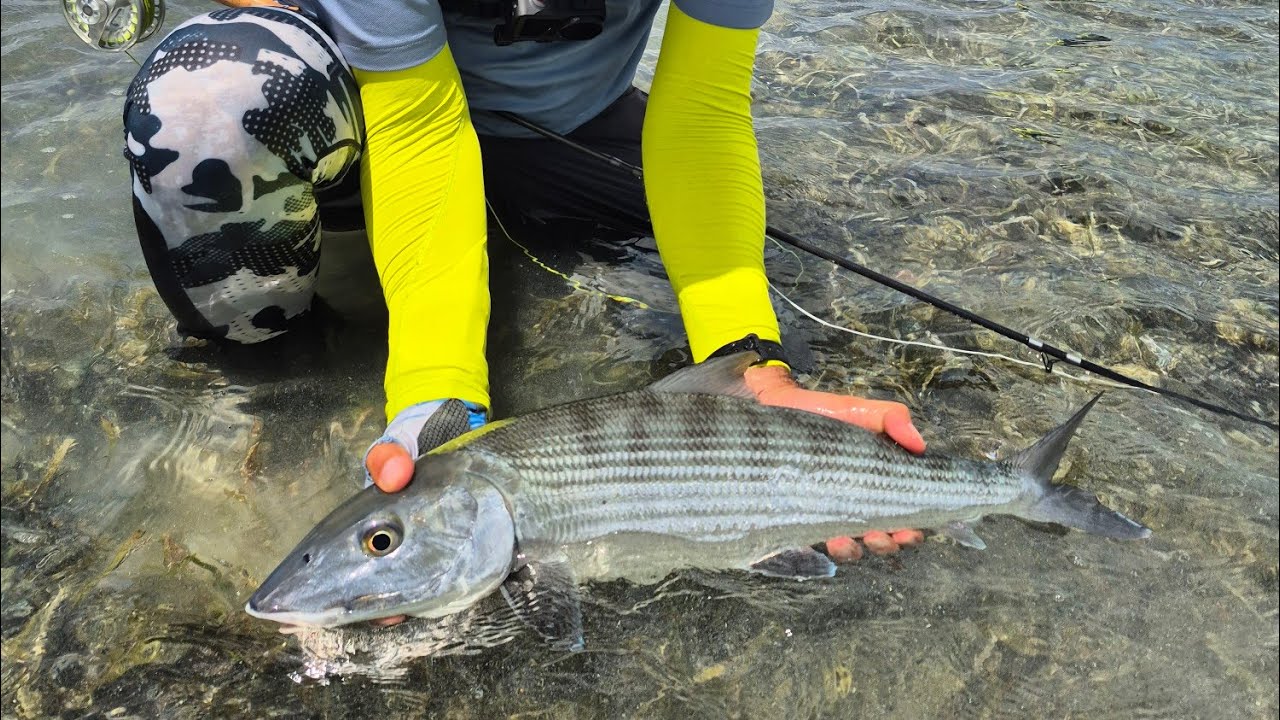 Los Roques 2025 - Venezuela - a Fly Fishing Adventure for Tarpon, Bonefish and Permit - Episode 2