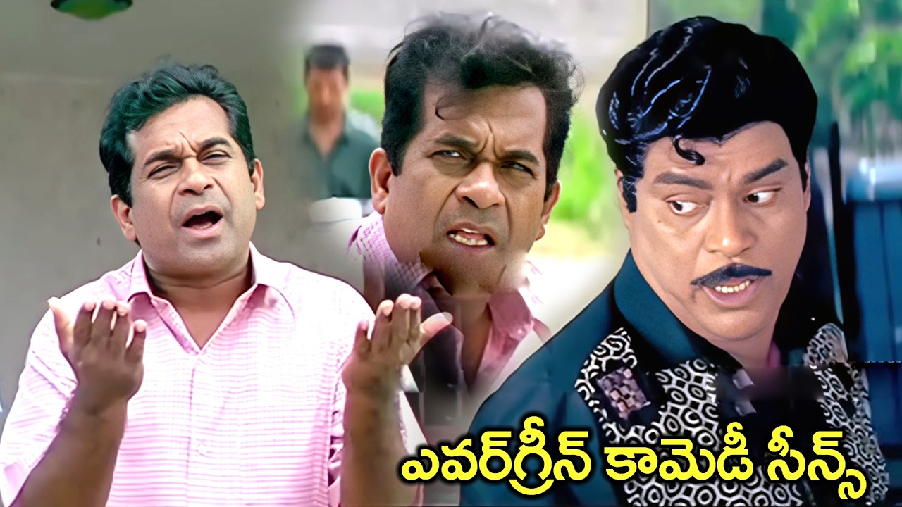 Brahmanandam And Kota Srinivasa Rao Super Hit Comedy Scenes | Bava Bava Panneeru Comedy Scenes