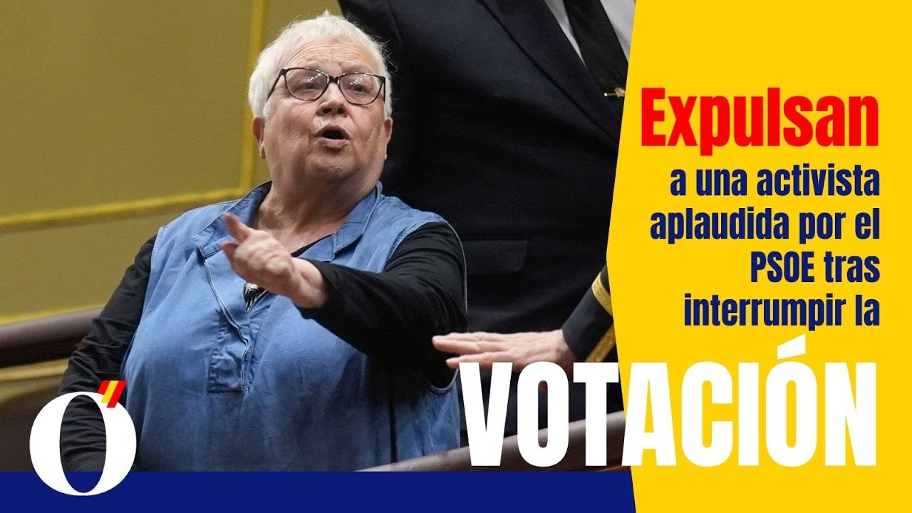 Expulsan del Congreso a una activista aplaudida por el PSOE tras interrumpir la votaci&oacute;n