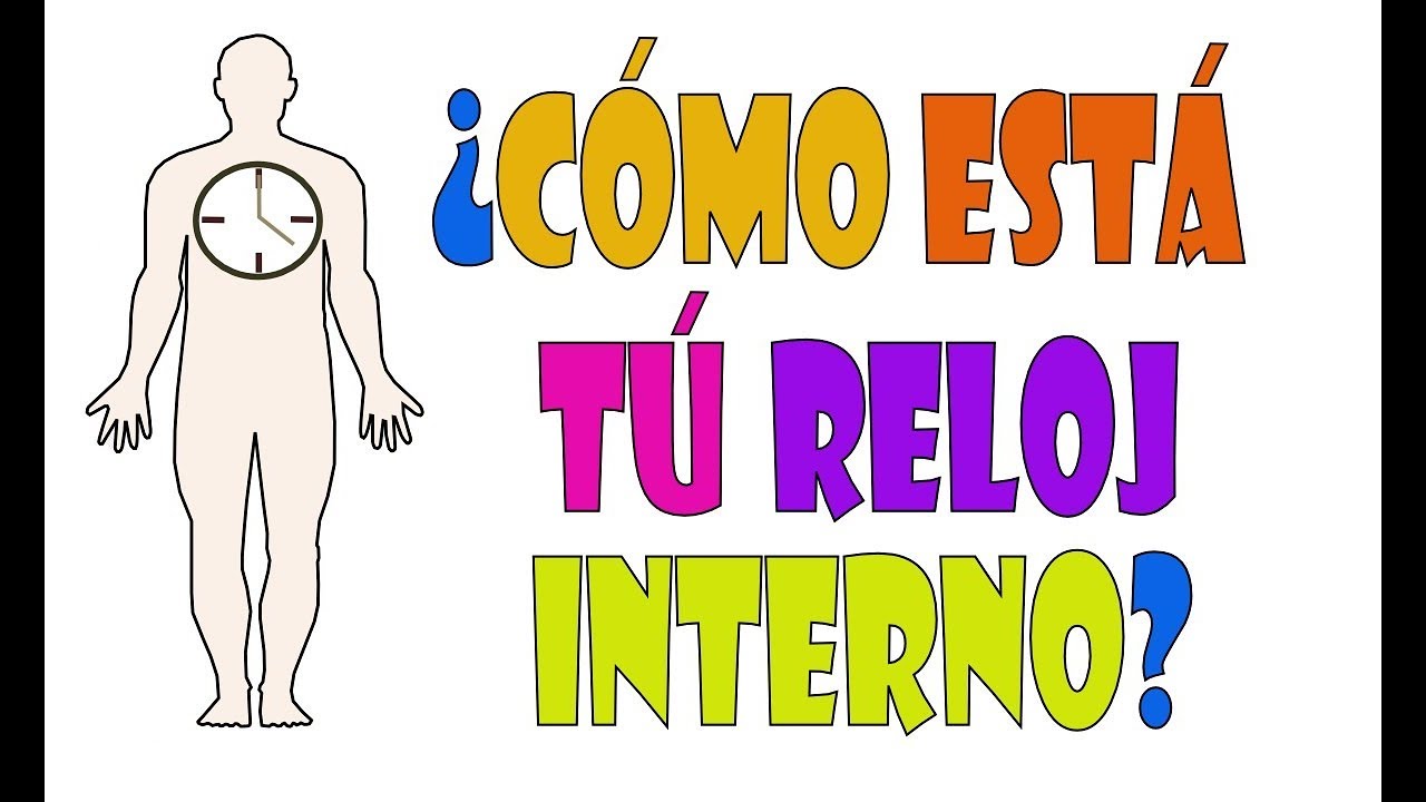 Ritmo Circadiano : ¿ Como esta tu reloj interno?