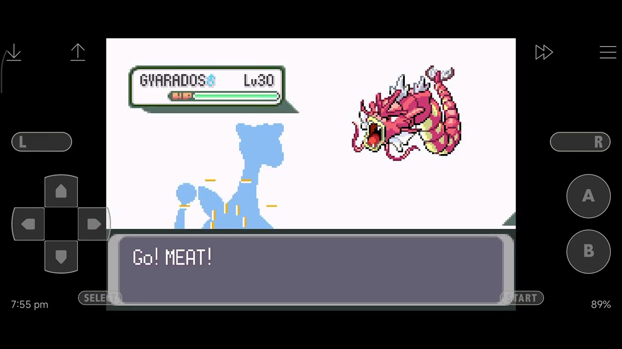 Playing Pok&eacute;mon heart and soul for the first time playthough part 12.5