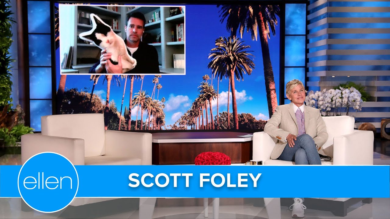 Scott Foley Shows Off His Legs in 'Drawer Dash'