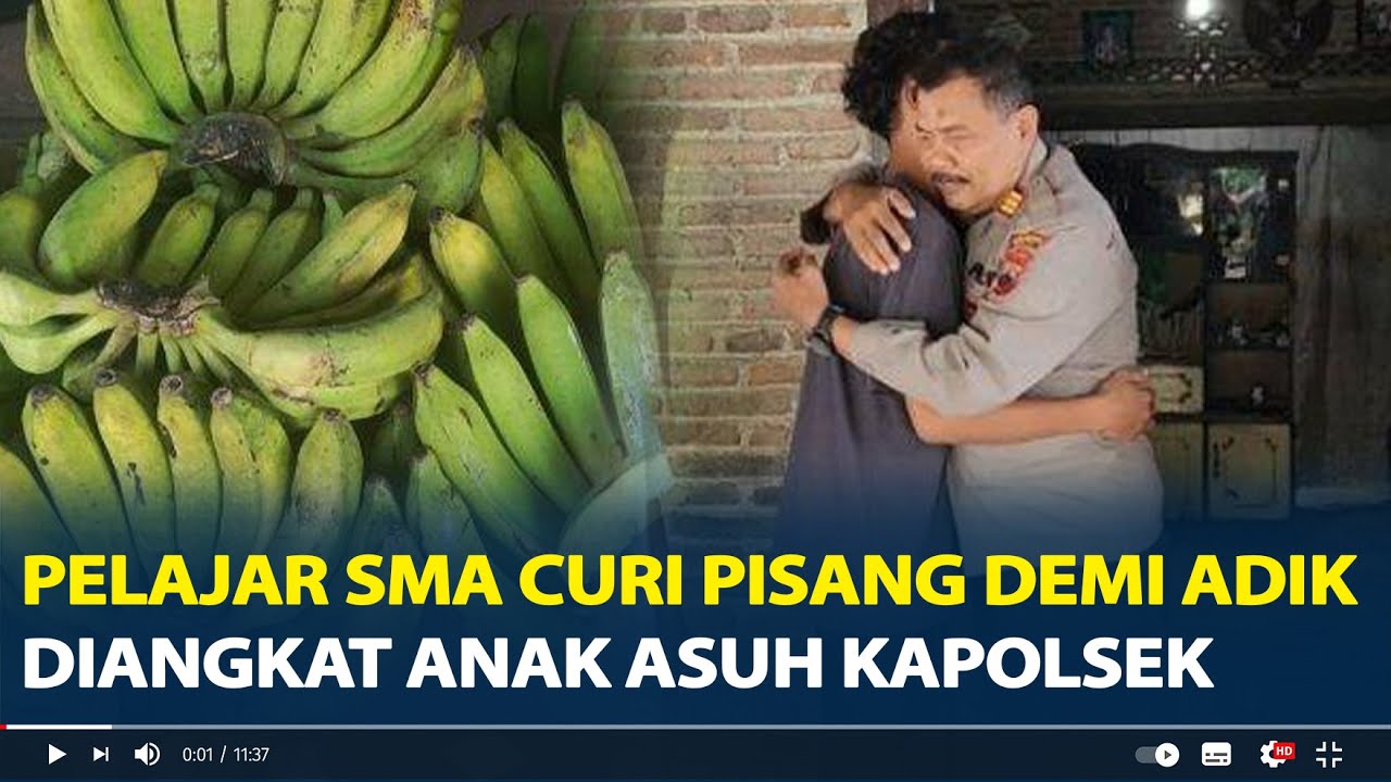 Nasib  Pelajar SMA Curi 4 Tandan Pisang Demi Hidupi Adik, Diangkat Anak Asuh Polsek Tlogowungu