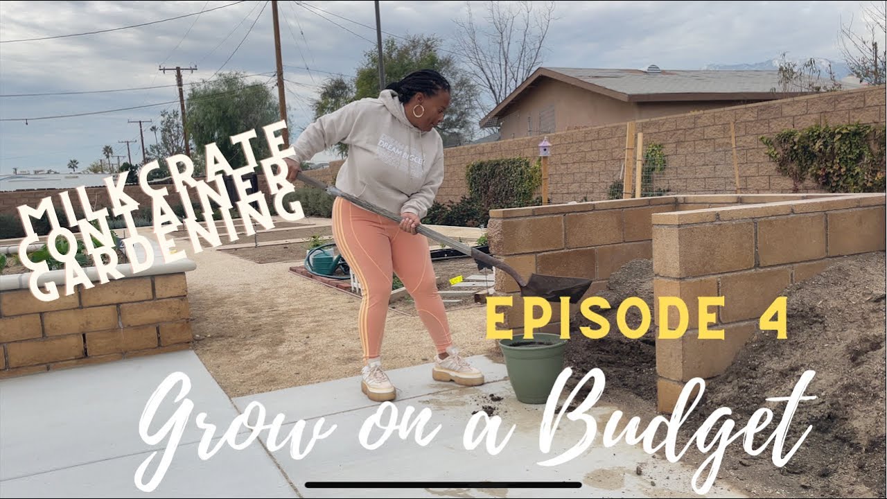 MILK CRATE GARDEN PT 2 FREE .99 CENT STORE ONLY CONTAINER GARDEN CALI 9B COMMUNITY GARDEN UPDATE