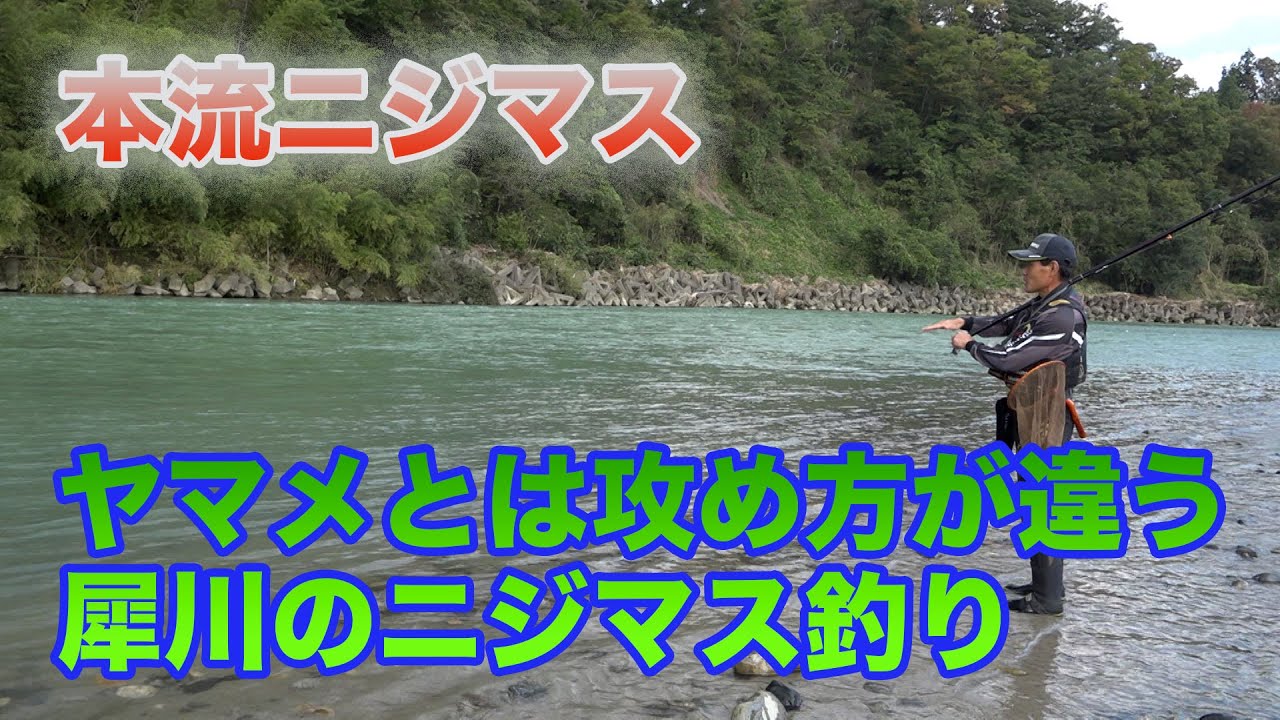 井上聡　本流ニジマスを釣る ヤマメとは攻め方が違う犀川のニジマス釣り Satoshi Inoue fishing mainstream rainbow trout