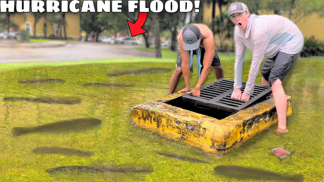 Saving Fish from HURRICANE FLOOD!
