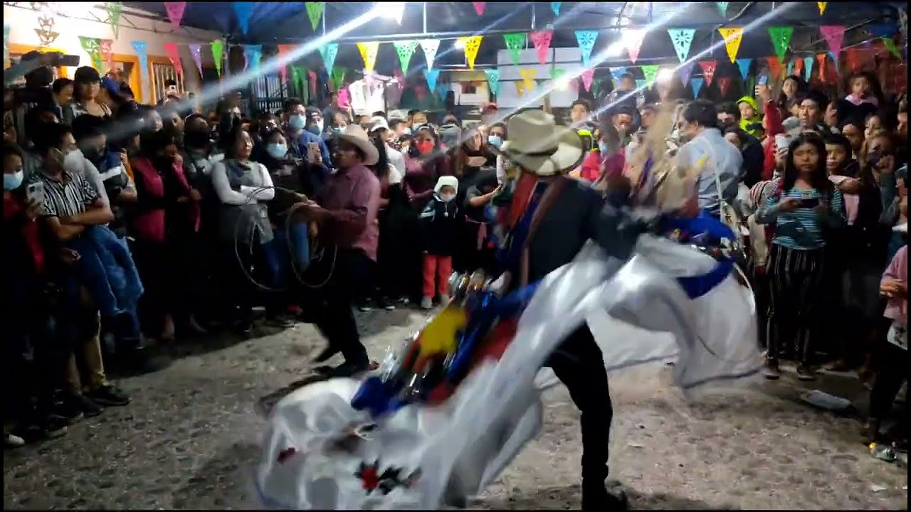 marca del caballo  *CARNAVAL ZOQUE COITECO* #2022