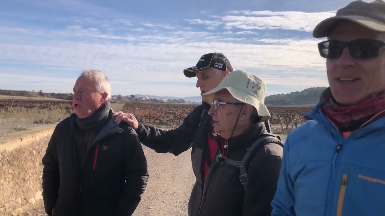 VILOBÍ DEL PENEDÈS - PÈLAGS I VINYES- 7/12/23.