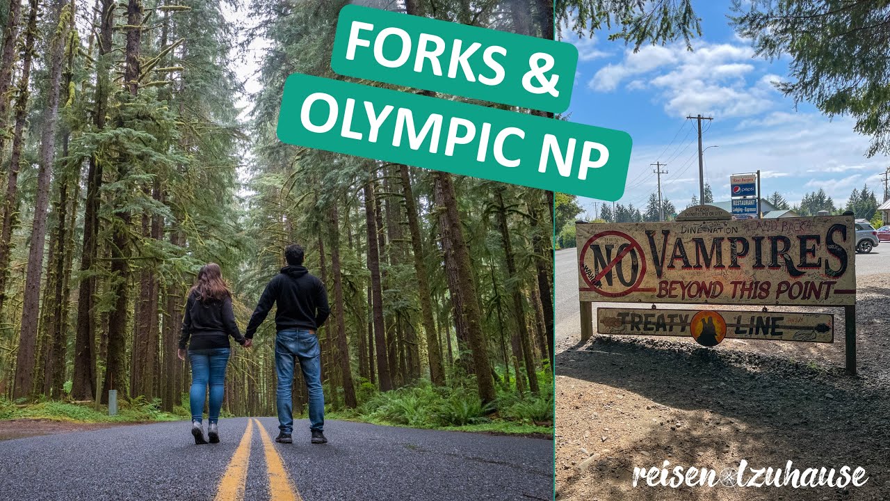 Forks & Olympic Nationalpark ● Mehr als nur Twilight!! ● Hoh Rainforest und La Push Beach ● Vlog #78