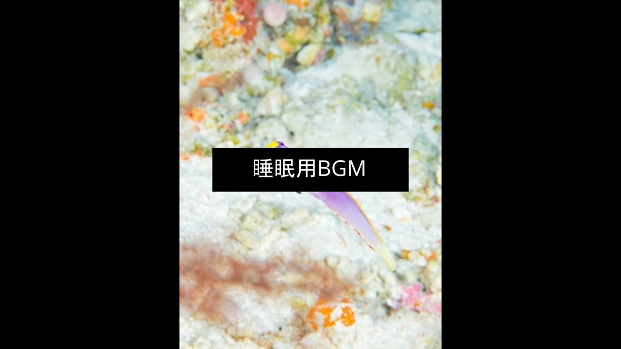 睡眠用動画ロングバージョン　リラックスしてかけ流してください。sleep and relax. #sleep #sleepsounds #睡眠用bgm