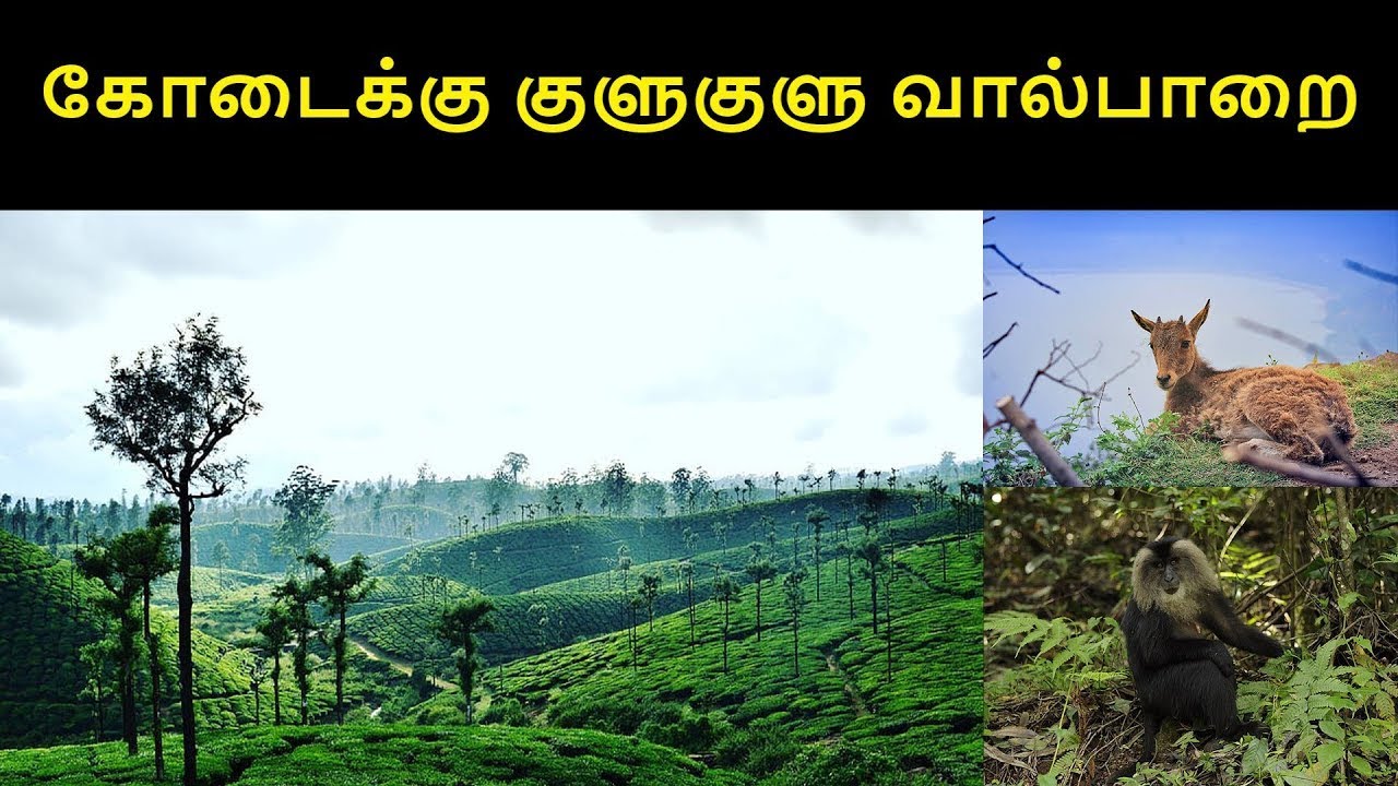 Kodaikku Kulu Kulu Valparai