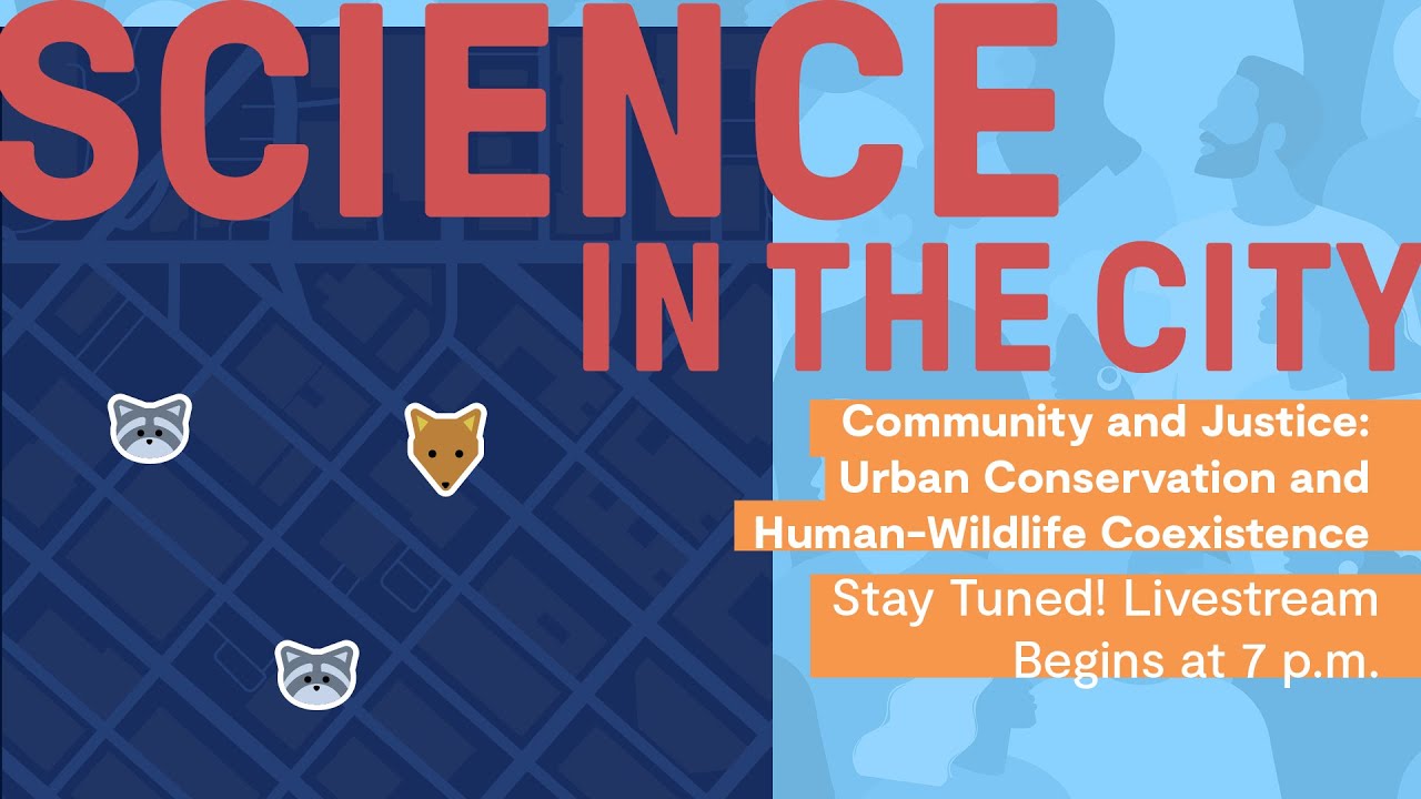 Community and Justice: Urban Conservation and Human-Wildlife Coexistence