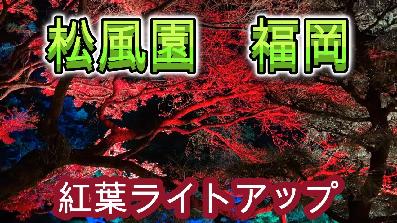 松風園福岡  紅葉ライトアップ　紅葉の茶会　Shofuen fukuoka