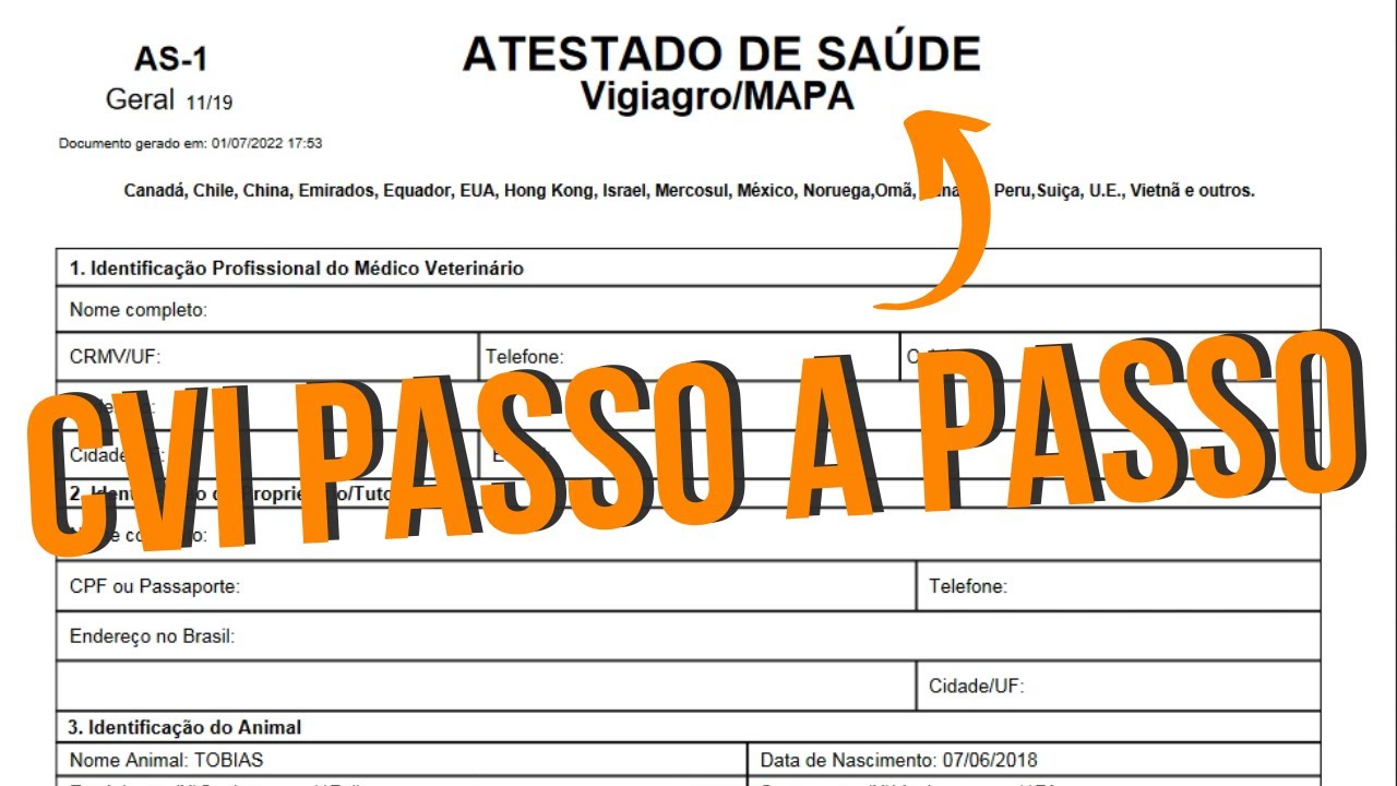 COMO LEVAR SEU PET PARA ARGENTINA\URUGUAI [DEMAIS PAISES] - CVI PASSO A PASSO