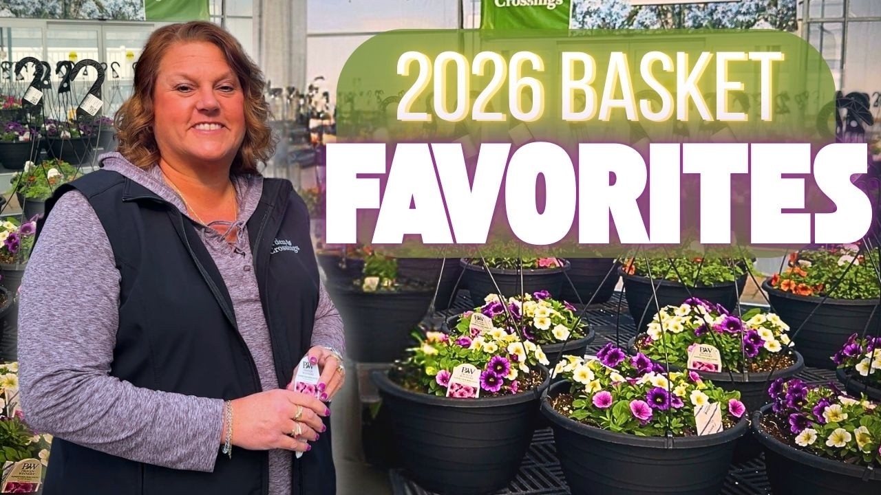 👉 12 Hanging Basket Combos for Sun & Shade 🌸 | 2026 Favorites