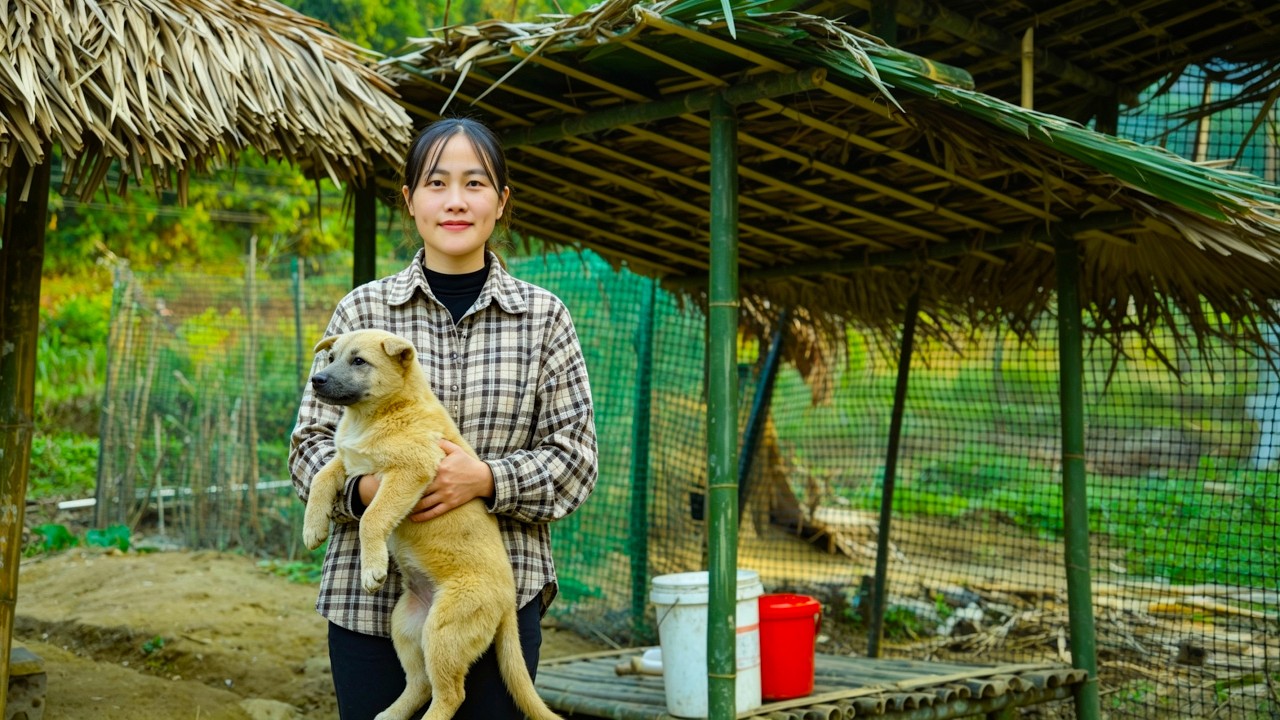 Living a simple life, a single mother builds a new bamboo house. New challenges begin