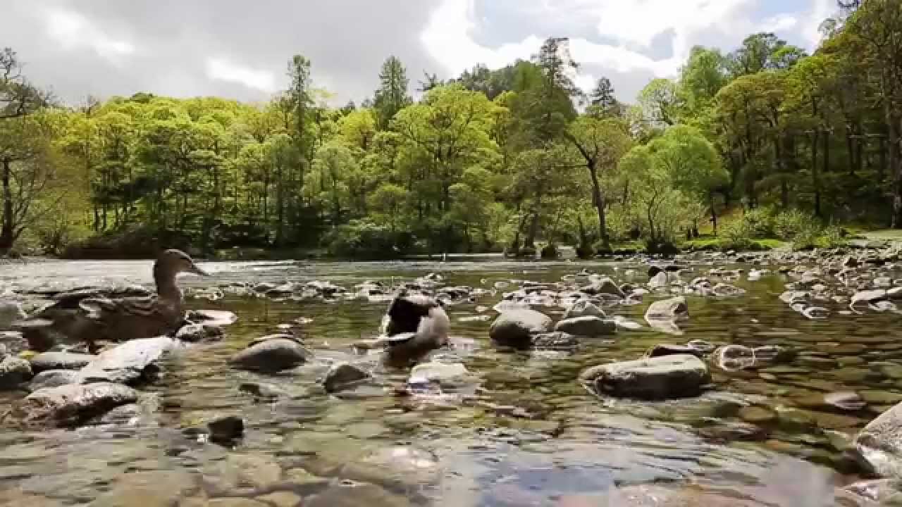 Wilderness Walks With Ray Mears 2014 Episode 5