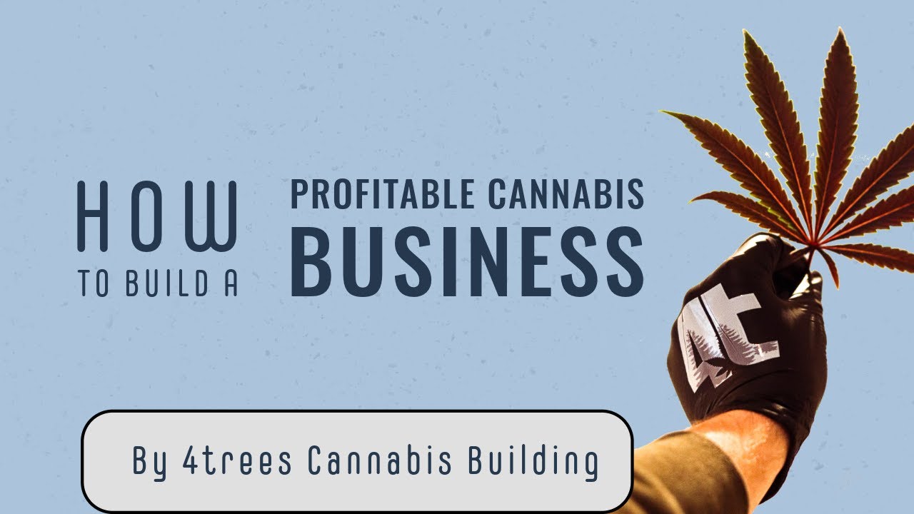 How to Build a Profitable Cannabis Business | Expert Planning, Licensing & Cultivation Training