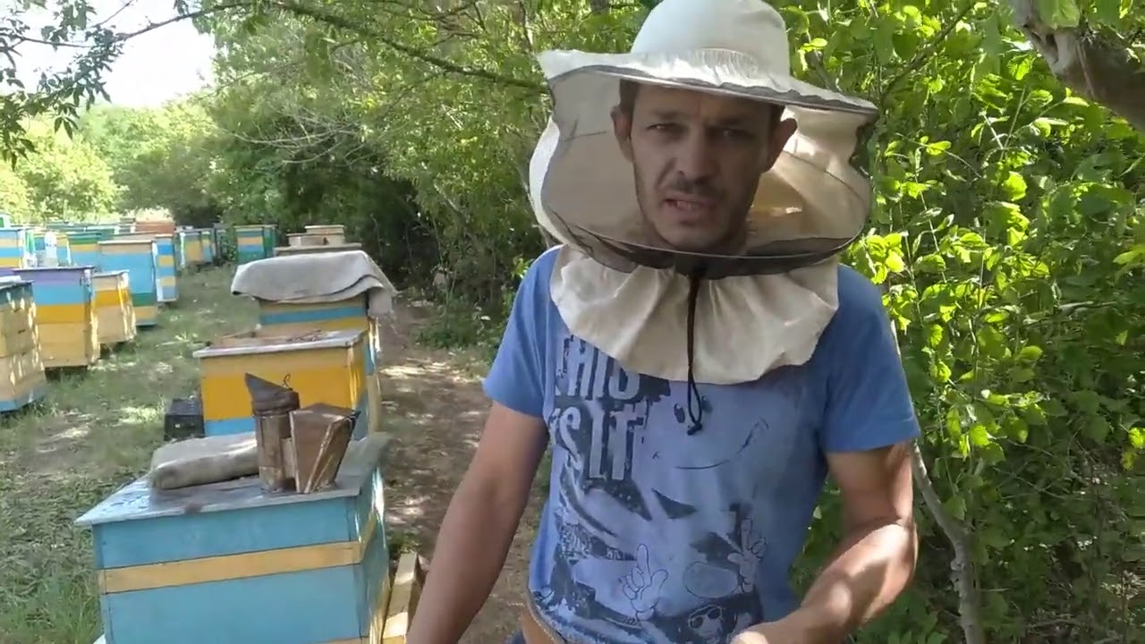Результат работы Карники 