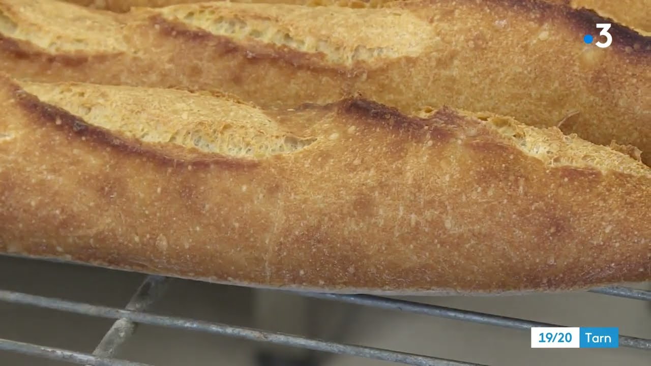 Meilleure baguette d'Occitanie : au coeur du concours dans le Tarn