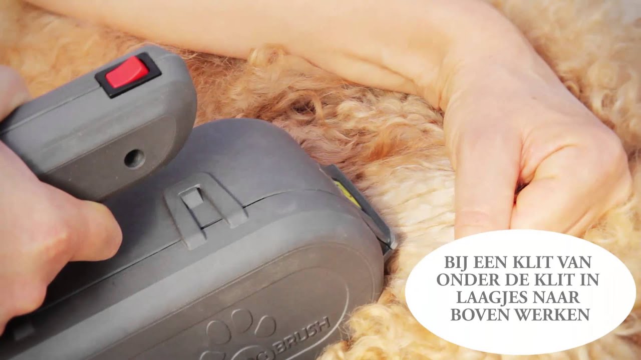 DP Autodogbrush grondige borstelbeurt