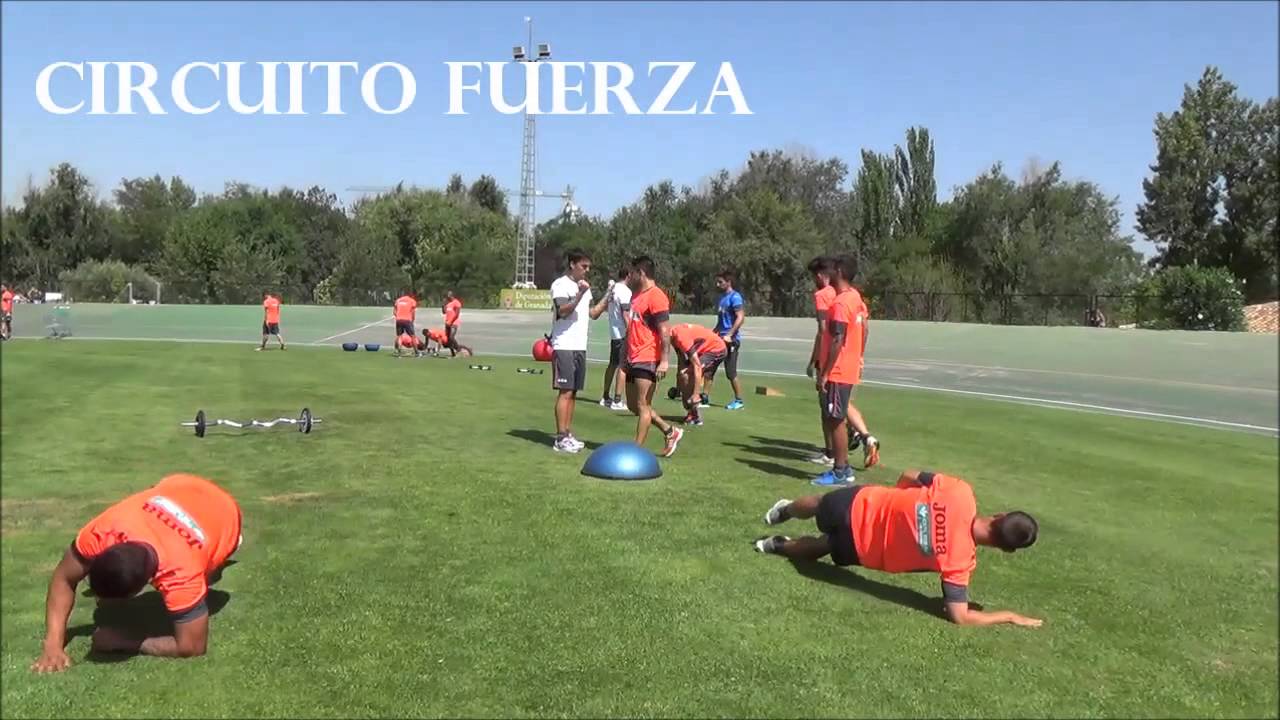 Entrenamiento de pretemporada: carrera continua y circuito de fuerza