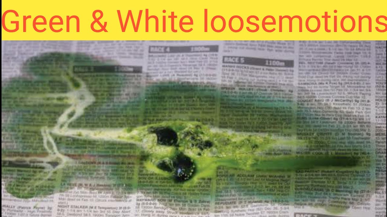 pigeon diseases and Treatment for green & white loose motion in pigeons