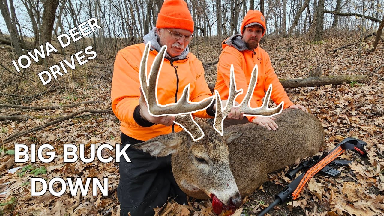 Iowa Deer Drives | Giant Buck Down