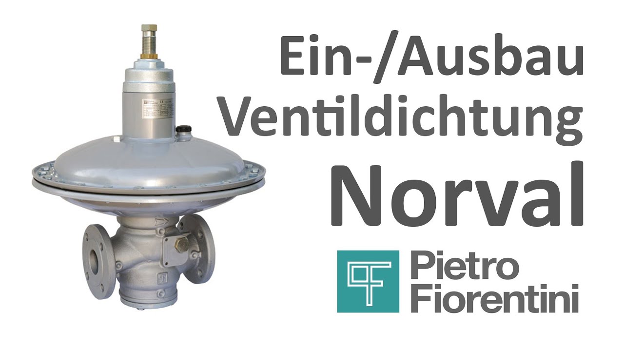 Fiorentini Deutschland Ventildichtung wechseln Norval