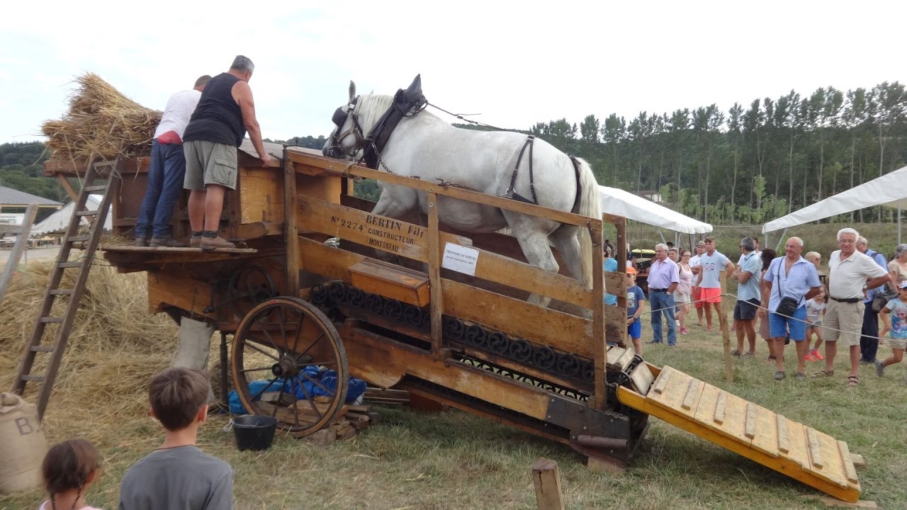 Une trépigneuse entraînée par un cheval