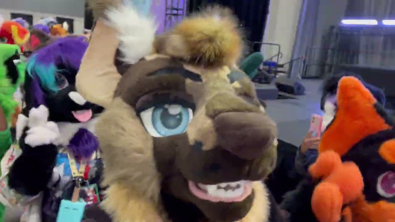 My First Furry Conventions Trips 2024