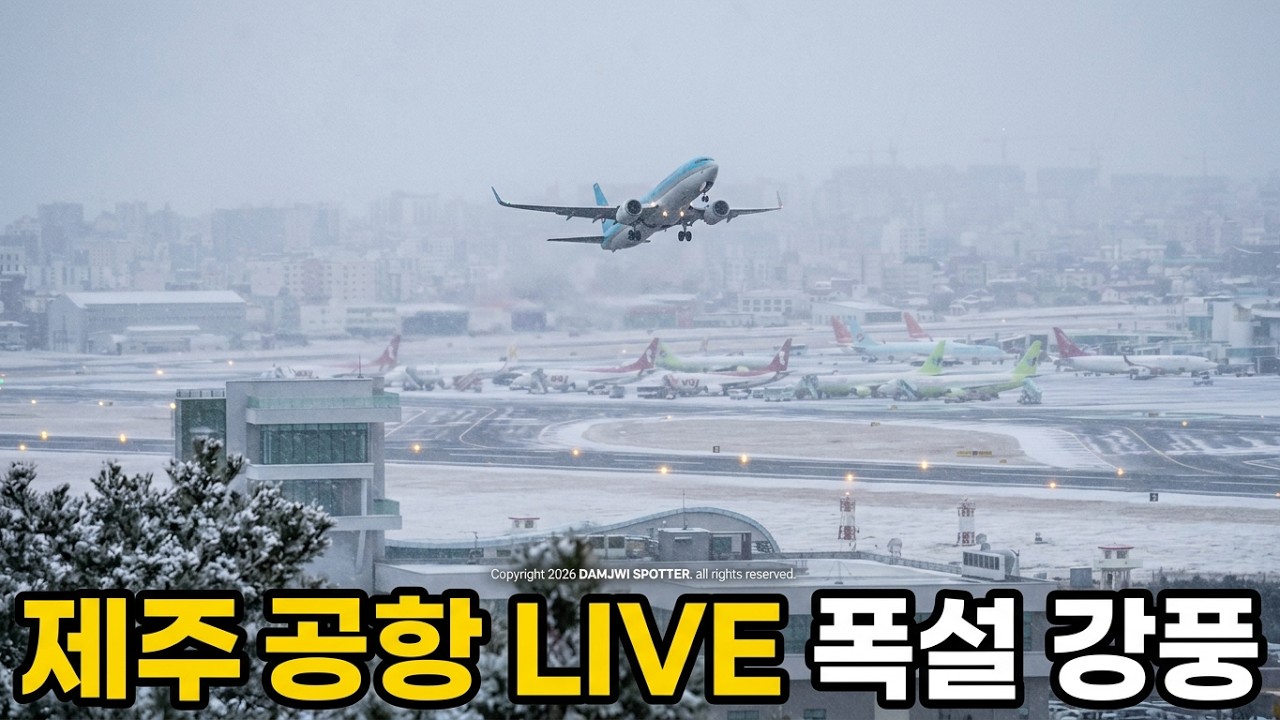 ❄눈 강풍주의보가 내려진 제주공항 🛫비행기 이착륙 영상 Part 3 (Strong wind advisory and blizzard)