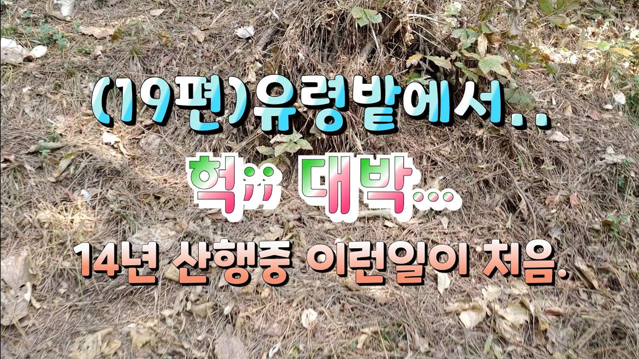 (19편) 헉;; 대박 유령 밭에서 중투...?