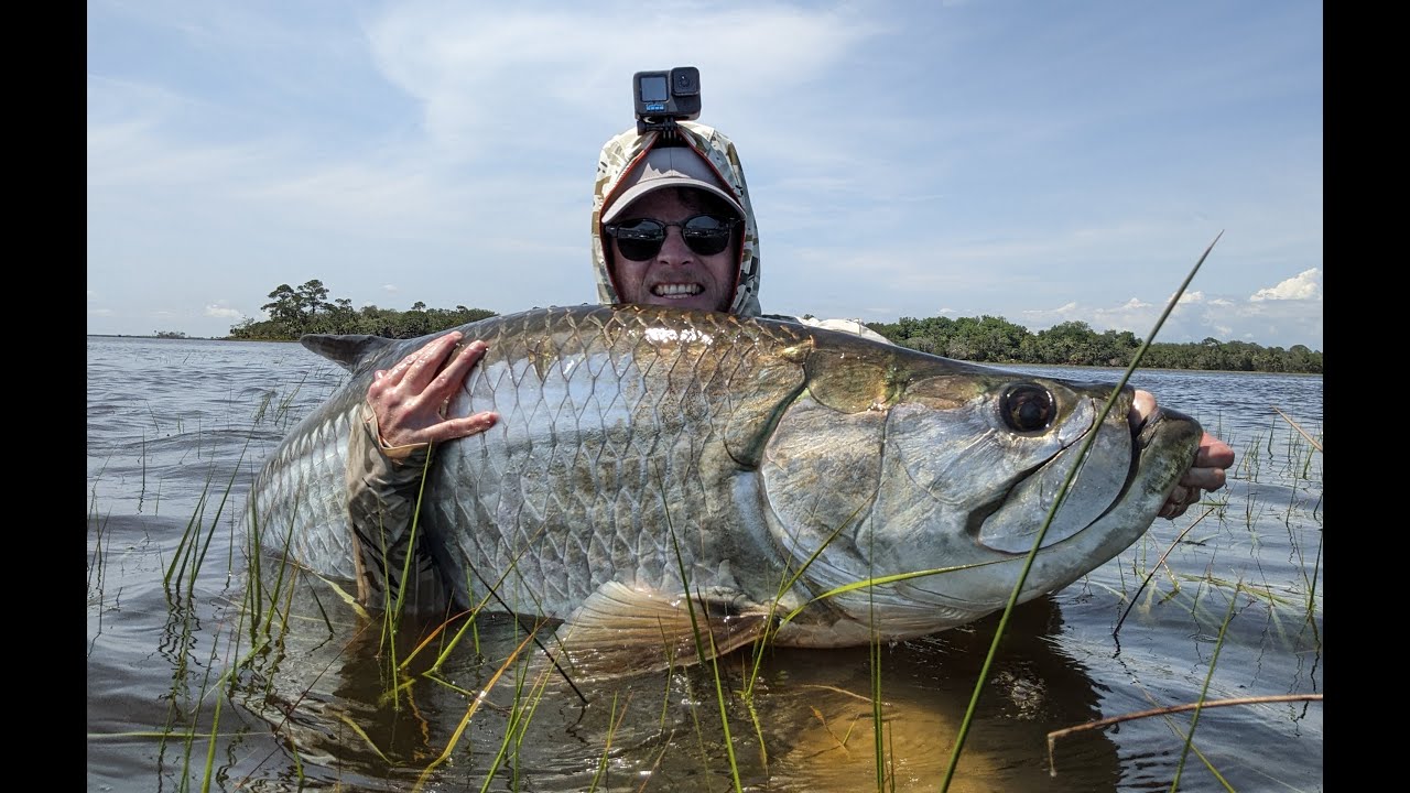 Cedar Key Black Drum and Tarpon