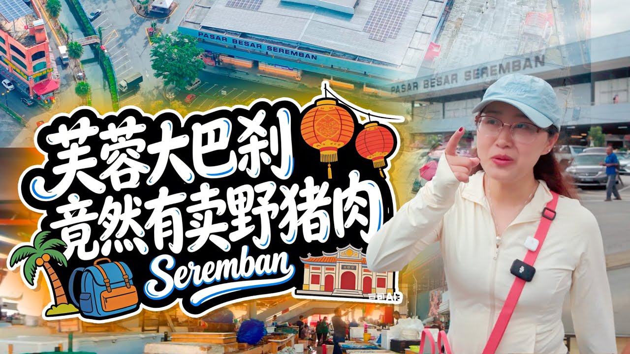 🇲🇾芙蓉🌺巴刹惊了 印度人卖野猪还比家猪便宜 17 块一公斤鲨鱼 马来西亚芙蓉大巴刹的隐藏副本 被我找到了