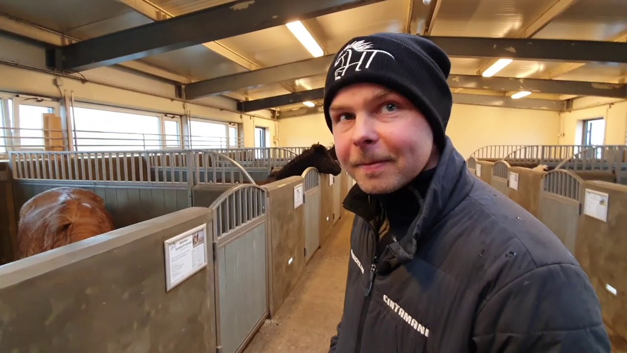 Heimsókn í Hjarðartún
