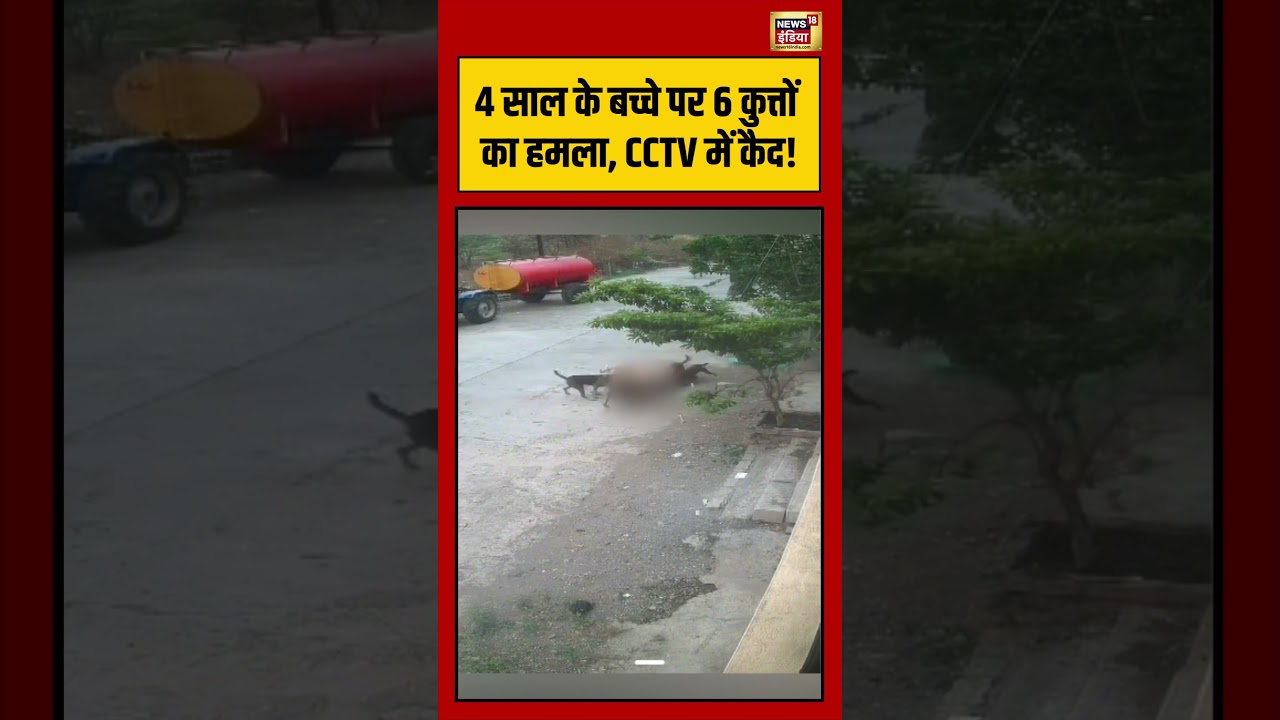 6 dogs attack 4-year-old boy | 4 साल के बच्चे पर 6 कुत्तों का हमला, CCTV में कैद! | #viralvideo
