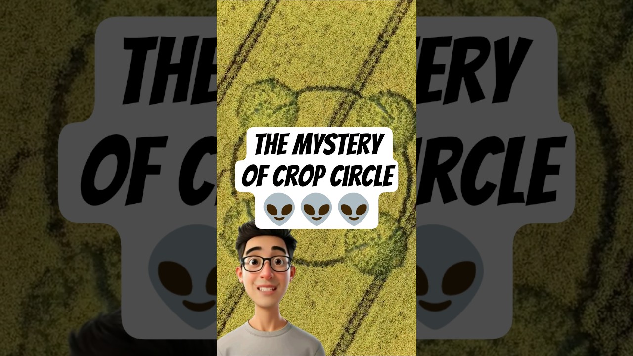 The Mystery of Crop Circle #shortvideo #facts