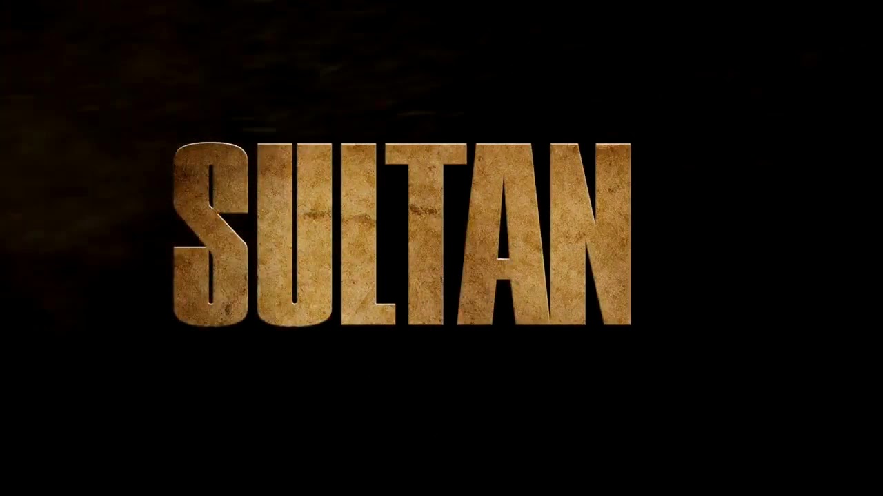 Sultan Official Parody   Salman Khan