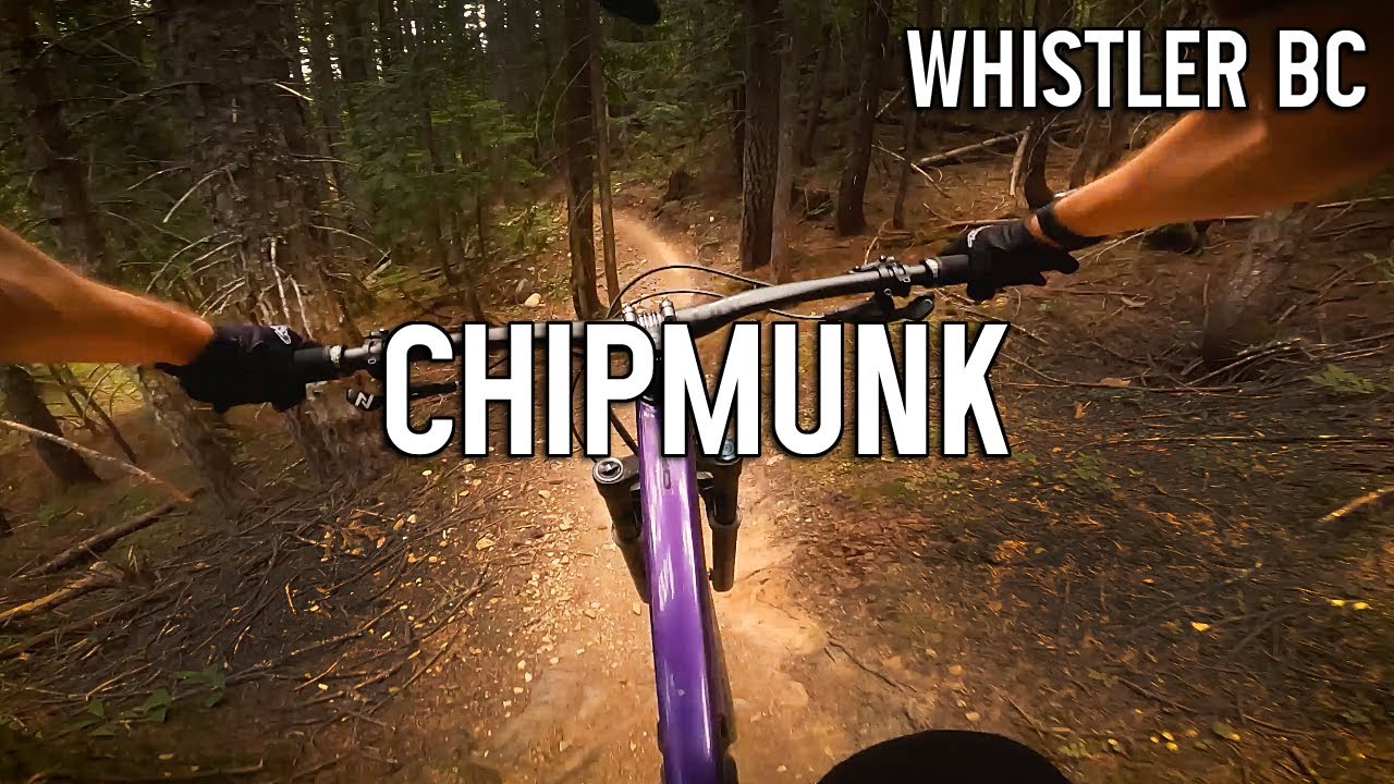 Chipmunk Rebellion - Whistler Mountain Bike