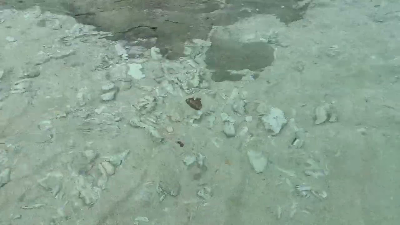 ぼくたち・わたしたちの海